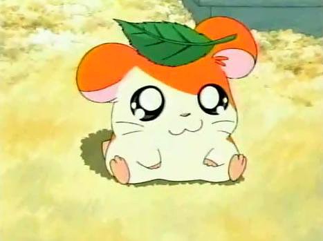 Hamtaro_con_una_hoja_en_la_cabeza5B15D