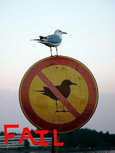 fail-pidgeon