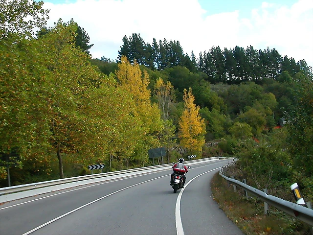 DSCN5596 DSCN5596
