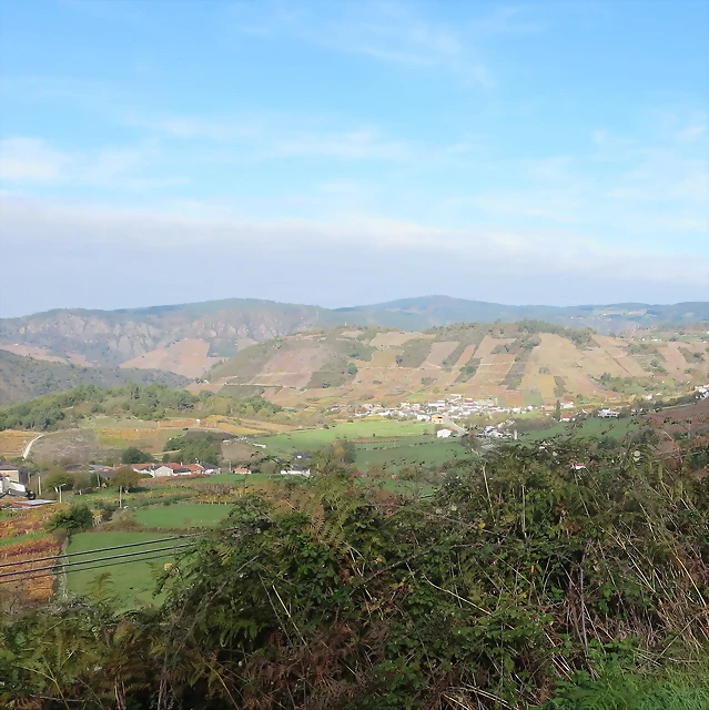 IMG_8856 IMG_8856