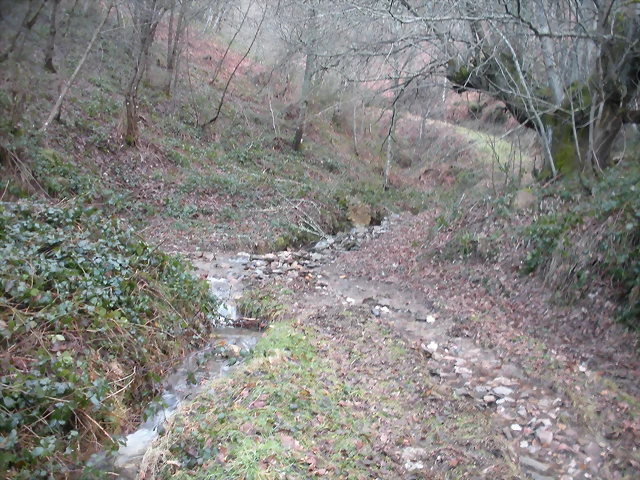 DSCN2836 DSCN2836