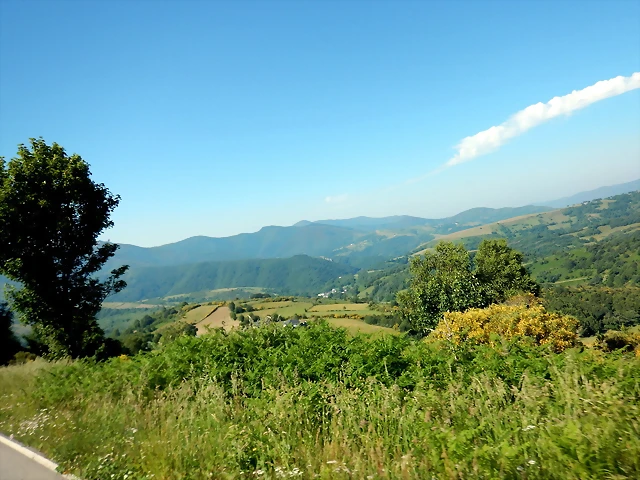 DSCN4785 DSCN4785