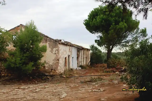 04, tonos ocres en los prez, marca