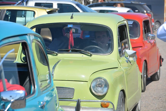 DSC_0135 DSC_0135