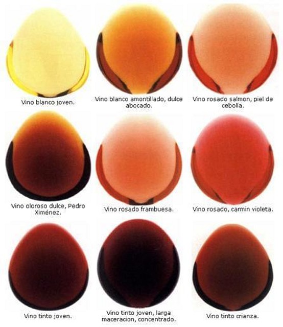 colores_vino colores_vino