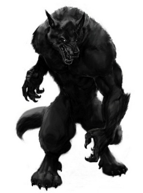 SH concept post werewolf Greys
