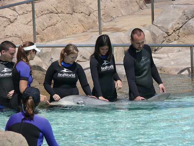 Lidia y los primos con delfines (también hubo playa, disney, Hollywood...)