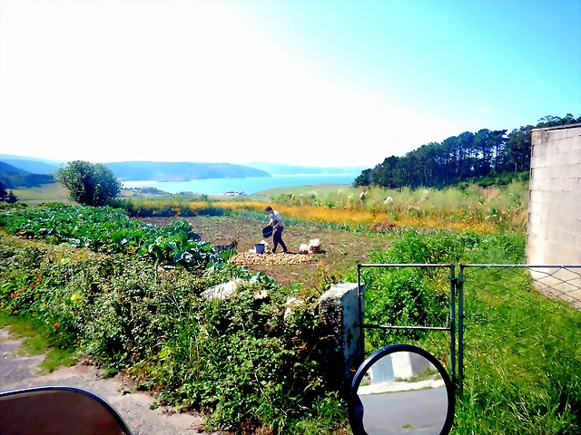 DSCN5843 DSCN5843
