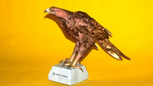 Águila Dorada