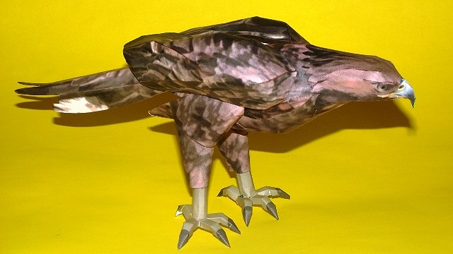 Águila Dorada