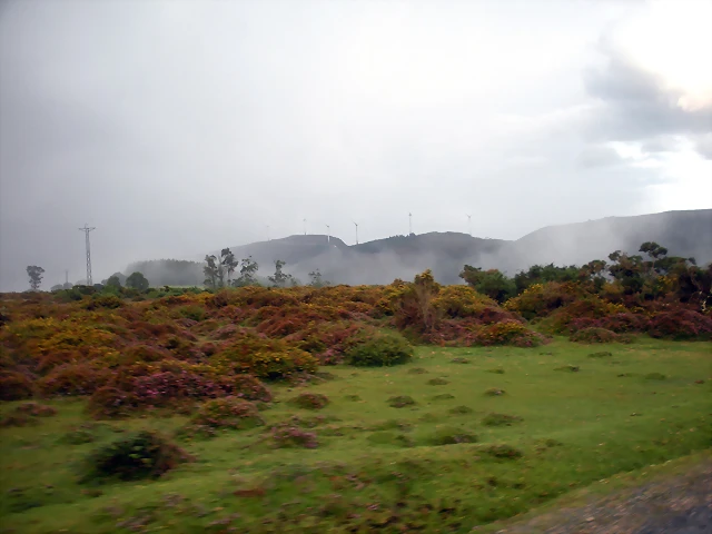 DSCN8461 DSCN8461