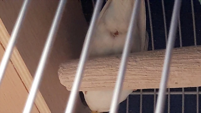 20180830_155758 20180830_155758