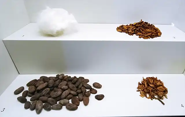 Lana de vicu?a. Quina. Cacao. Ratania