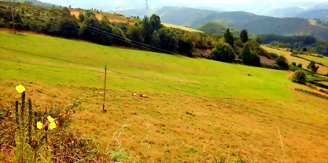DSCN6614 DSCN6614