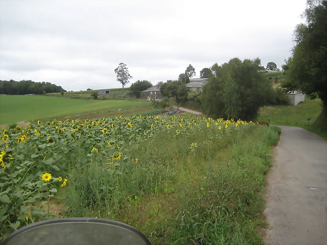 IMG_0261 IMG_0261