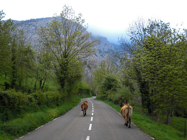 asturias 2011 (10)