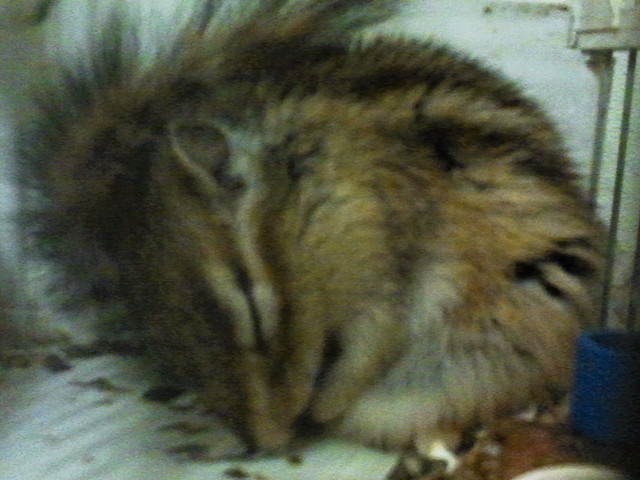 2011-04-13 21.54.30