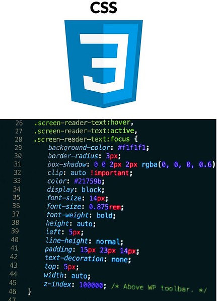 CSS