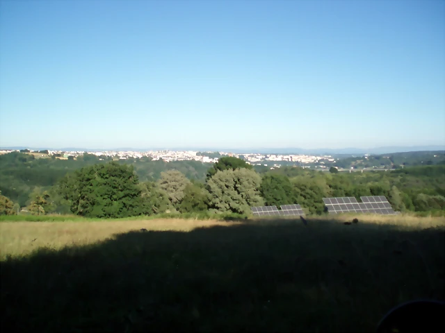 P1010152 P1010152