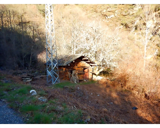 DSCN4051 DSCN4051