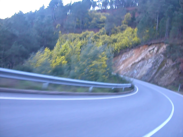 DSCN8108 DSCN8108