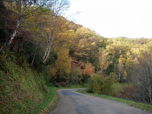 DSCN0534 DSCN0534