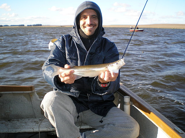 laguna loma danesa....650grs laguna loma danesa....650grs