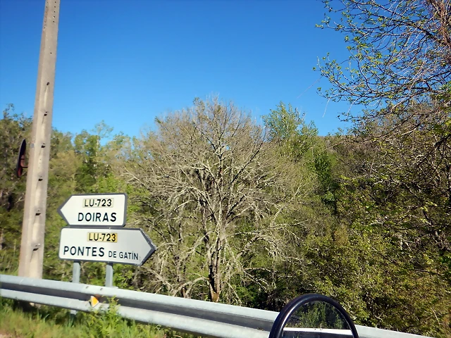 DSCN0090 DSCN0090