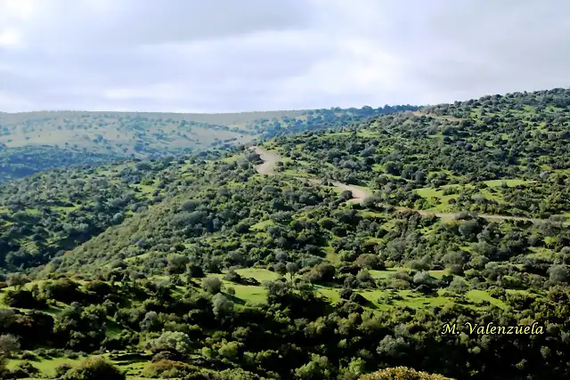 15, panormica desde el cerro, marca