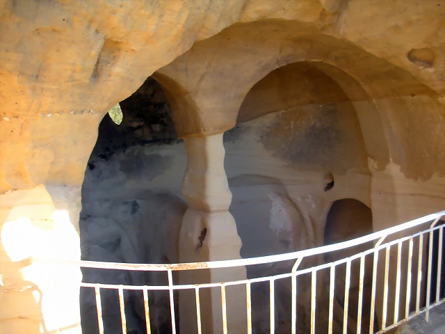DSCN1915 DSCN1915
