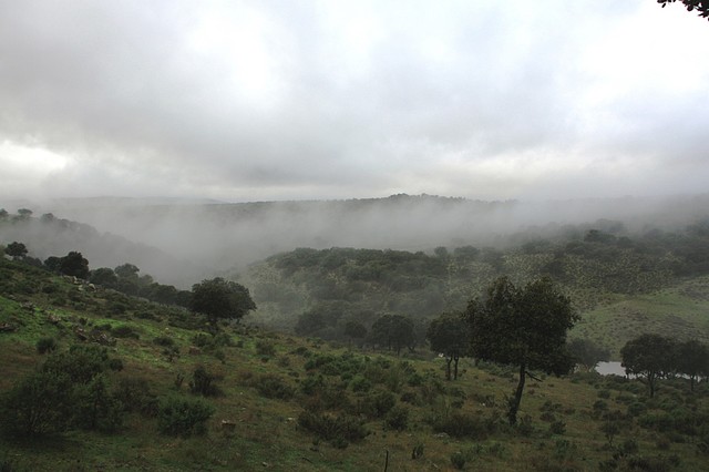 001, niebla en el vadillo