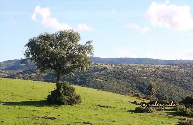 20, en el cerro del Gorgoritn, marca