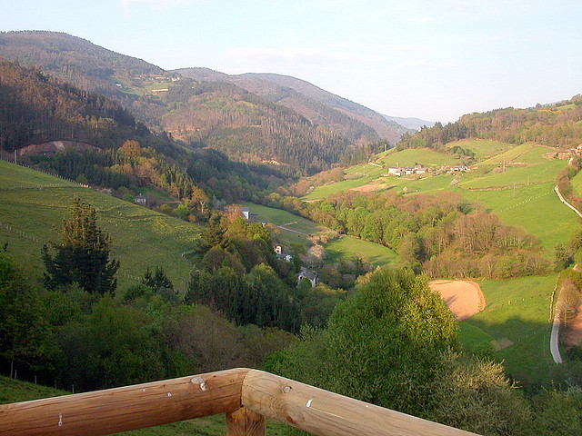 DSCN6833 DSCN6833