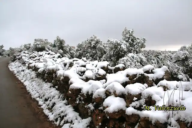 05, horma en cuesta blanca, marca