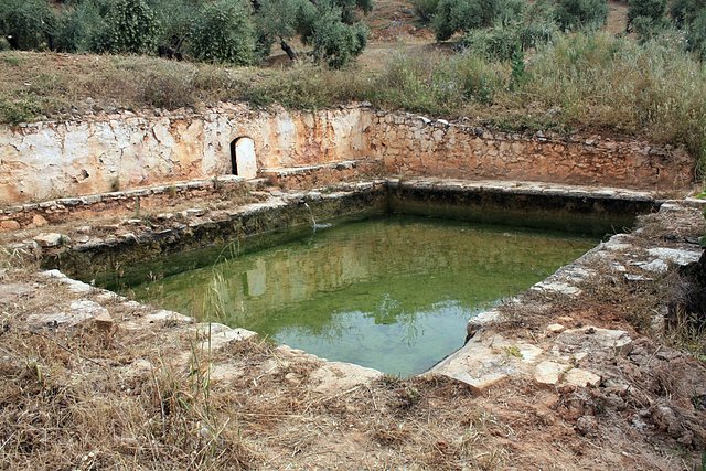 alberca de las alminillas