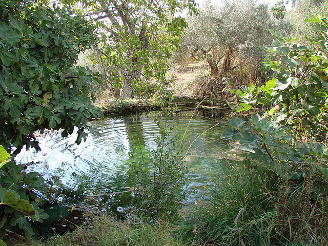 estanque del cortijo