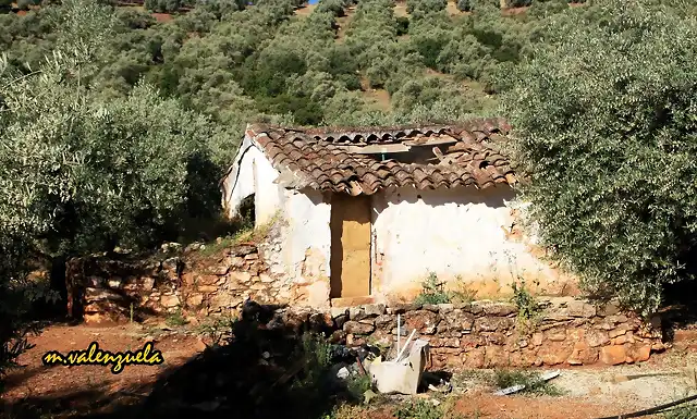 01, cortijo de domitila, marca2