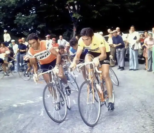 Agostinho-Merckx-Poulidor-Van Impe