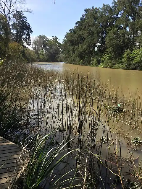 La reserva de puertos del lago Escobar