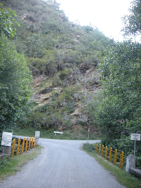 DSCN4286 DSCN4286