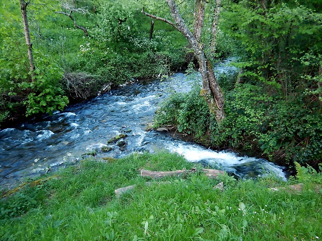 DSCN0185 DSCN0185