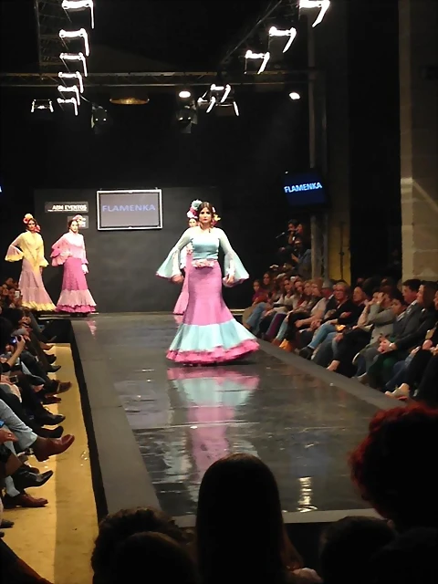 Pasarela 12-2-2015 (20) Pasarela 12-2-2015 (20)