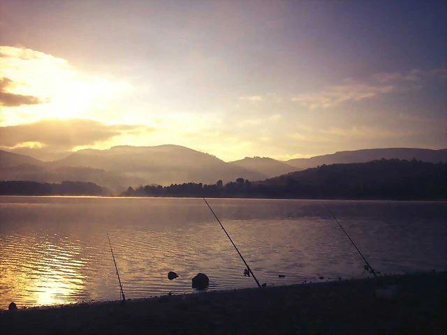 mañana de pesca mañana de pesca