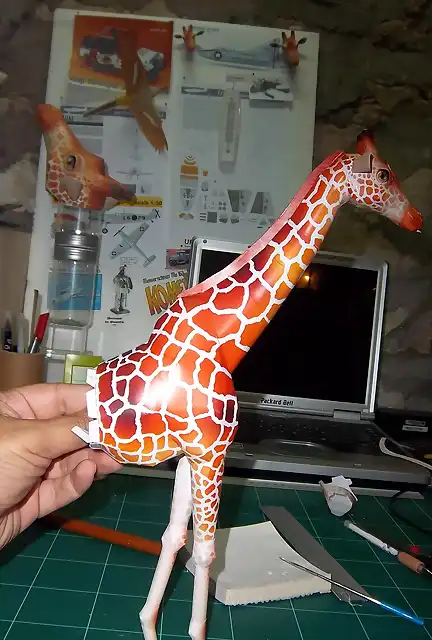 Girafa (14)