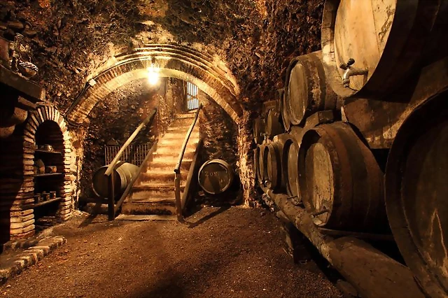 Cueva de la bodega Cueva de la bodega