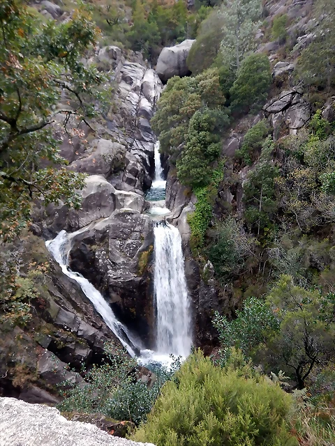DSCN1903 DSCN1903