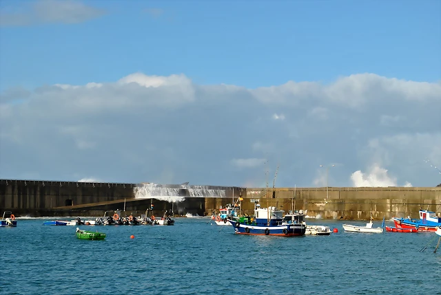 DSC_0546 DSC_0546