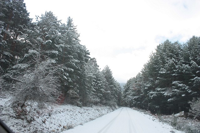 camino al arroyo de las truchas 1518