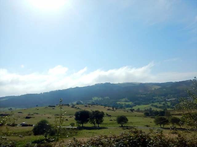 DSCN0527 DSCN0527