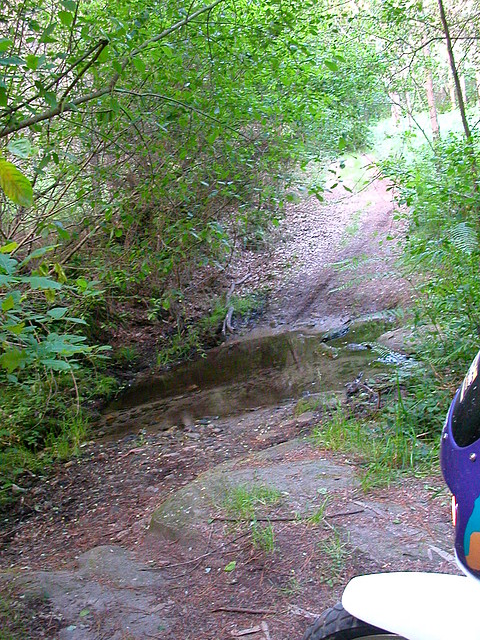 DSCN1206 DSCN1206